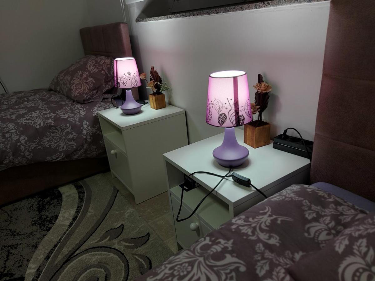 Lovely, Neat And Quite Apartment Dalia, Private Parking 사라예보 외부 사진